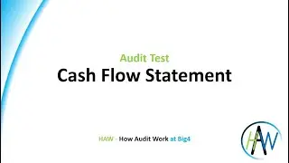 6.49 Audit test - Cash Flow Statement
