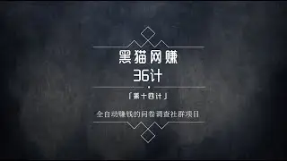 黑猫社网赚36计第14计：全自动赚钱的问卷调查社群项目