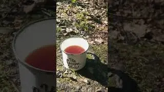 Осиновая Роща