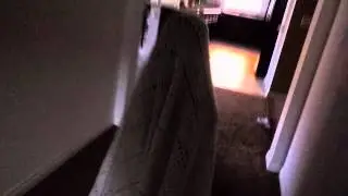 How To Scare A Ghost