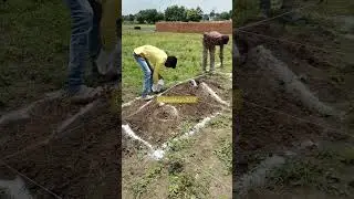 Layout Marking | Excavation Marking Centerline  marking 