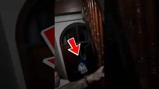 NOS ENFRENTAMOS A LULI *La Payasa De Fede Vigevani*