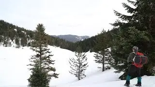 ILGAZ DAGI TIRMANIŞ