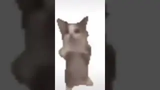 Шни шна шнапи