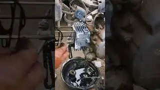 Motosiklet motoru revizyonu