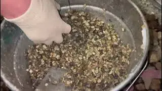 18 января 2024 г. 
