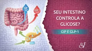 Hormônios intestinais (GIP e GLP1) na obesidade e diabetes tipo 2