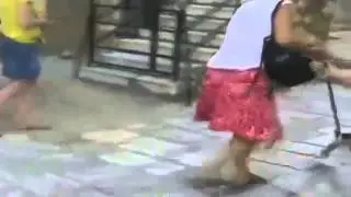 кот напал на собаку жесть