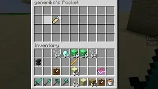 BlingPickpocket -- Minecraft Bukkit Plugin