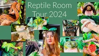 Reptile Room Tour 2024