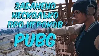 Забанены про игроки PlayerUnknown’s Battlegrounds(PUBG).