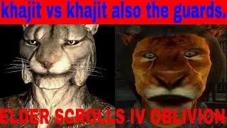 ES oblivion: kitty cat fights off the imperial guard. (uses Hand To Hand combat)