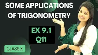 Ex 9.1 Q11 | Some Applications of Trigonometry | Chapter 9 | Class 10 Maths | NCERT