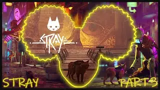 This Game Gave Me Ommetaphobia - STRAY - Part 3 [Live Stream]