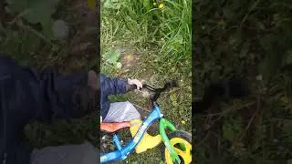 Любишь кататься - люби и падать