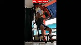 Exercício peitoral