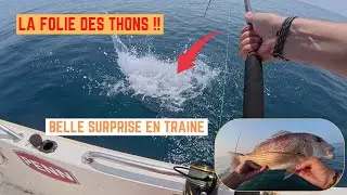 A SCHOOL OF TUNA SURROUNDS MY BOAT 🔥🔥