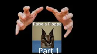 Raising a Floppa