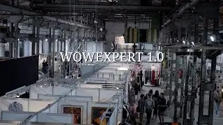 WOWEXPERT 1.0