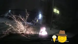 Делай добрые дела :) Убери дерево с дороги.