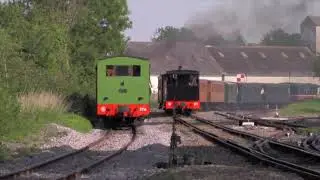 Entre Le Crotoy et Saint Valery avec la Cail et la Buffaud - Juin 2018