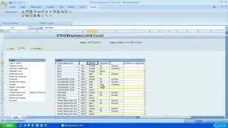 SAP BW BEx Analyzer Data Analysis Functions - Part 2 - Filters and Navigation Features