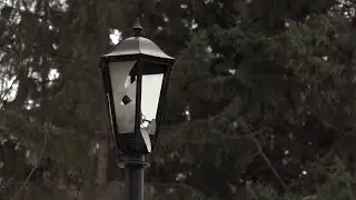 Первомайский сквер закроют на все лето