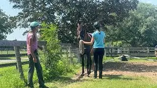 The Key to a Round Horse - Starts with a Straight Horse