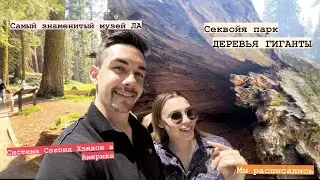 Жизнь в Калифорнии, самое большое дерево в мире, Американские сэконды. Музей Getty. Наша СВАДЬБА