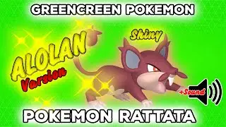 Pokemon Rattata Alolan ✨Shiny✨ | GreenScreen | Pokémon GO | 👍POGOTUBE✅✨