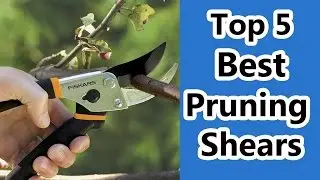 Top 5 Best Pruning Shears Reviews 2019