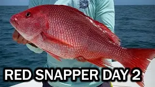 Red Snapper 2023 Day 2