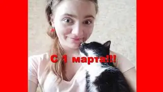 Поздравление с днем кошек! С 1 марта!