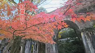 Japan Autumn 2024 - Day 9 (Kyoto) - Part I