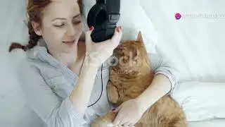 10 interesting facts about cats you probably didn't know.