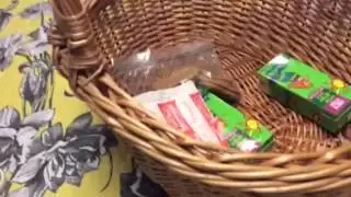 Baby Alive Channel Easter Basket Surprise