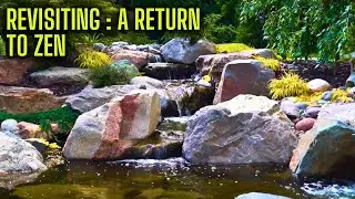 Revisiting Our 2022 Water Features – Look How They've Thrived! 🌿✨👀