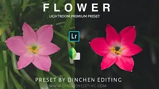 DSLR level photography with Mobile phone | snapseed and lightroom photo editing | 