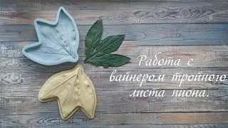 Работа с вайнером листа пиона.