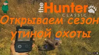 theHunter Classic. Утиная охота.