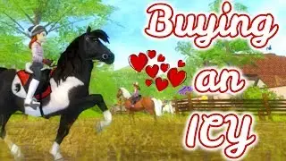 BUYING AN ICELANDIC + Unlocking Epona || SSO