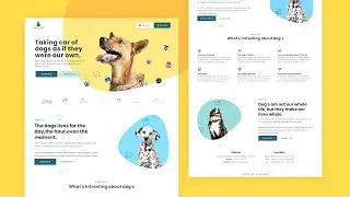 How To Create A Simple Website Using HTML And CSS + Upload Your Website To The Internet