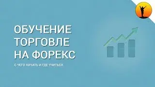 Обучение торговле на Форекс с нуля: с чего начать и какие курсы пройти новичку?
