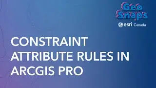 Constraint Attribute Rules in ArcGIS Pro