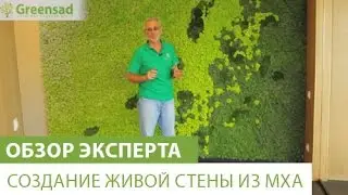 Создание живой стены из мха