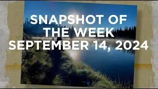 Snapshot of the Week: September 14, 2024