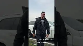 Птаха & Диман Брюханов – Трали-Вали  https://band.link/tilitralivali
