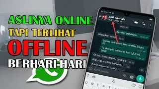 Triks WhatsApp Offline Berhari-hari, Padahal Aslinya Online