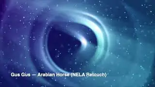 Gus Gus - Arabian Horse (NELA Retouch)