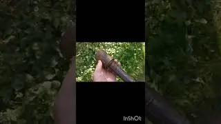 #прогулкавлесу